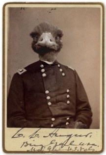 emu_commander